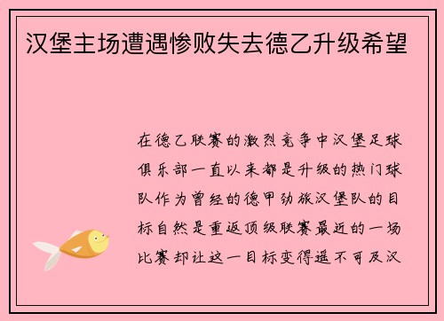 汉堡主场遭遇惨败失去德乙升级希望